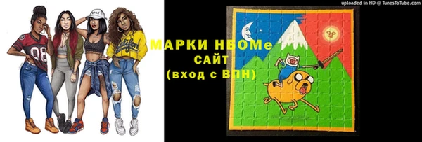 соль ск Вяземский