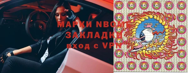 соль ск Вяземский
