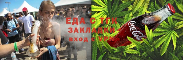 стаф Горняк